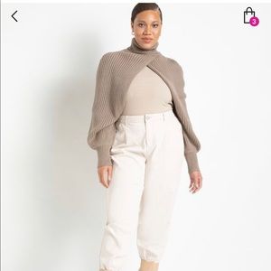 💝💝HP💝💝 ELOQUII Turtleneck Sweater Sleeve Scarf